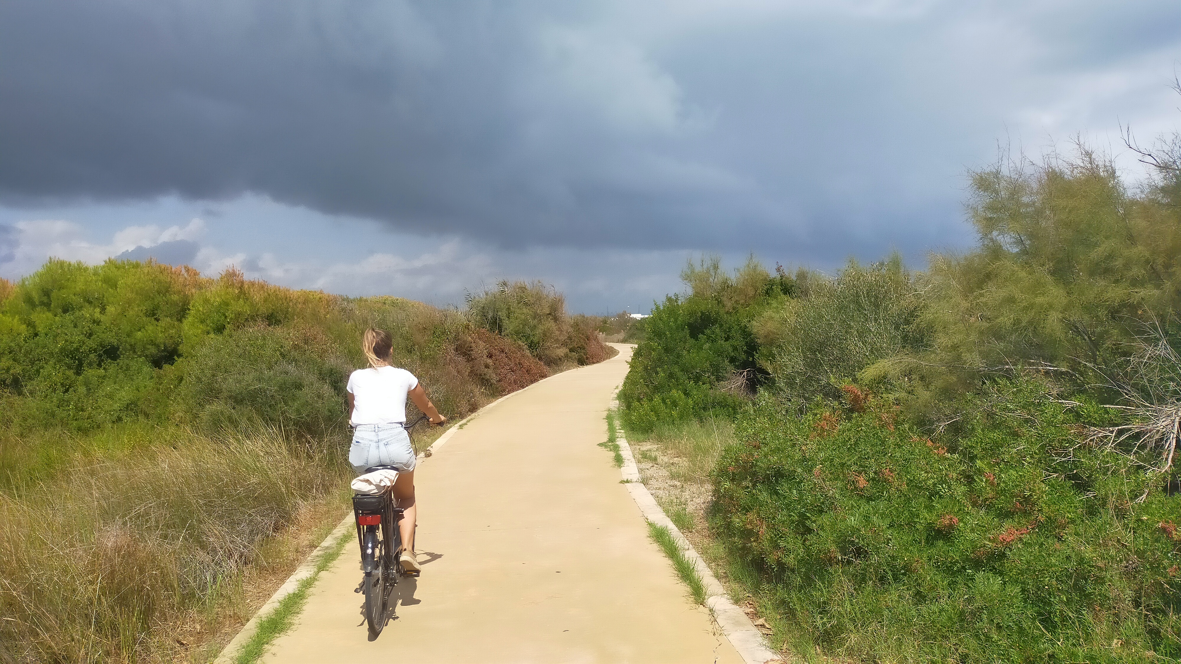 Visita guiada en bici por la Albufera con Bikes4tours