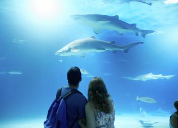 Oceanografic Valéncia
