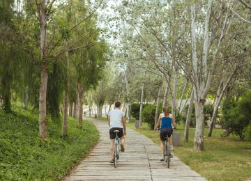ruta bici