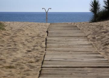 Playa el Perellonet