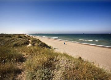 Playa de la Garrofera