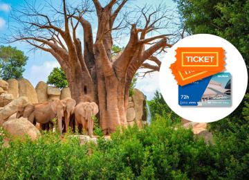 Pack 72 horas Bioparc