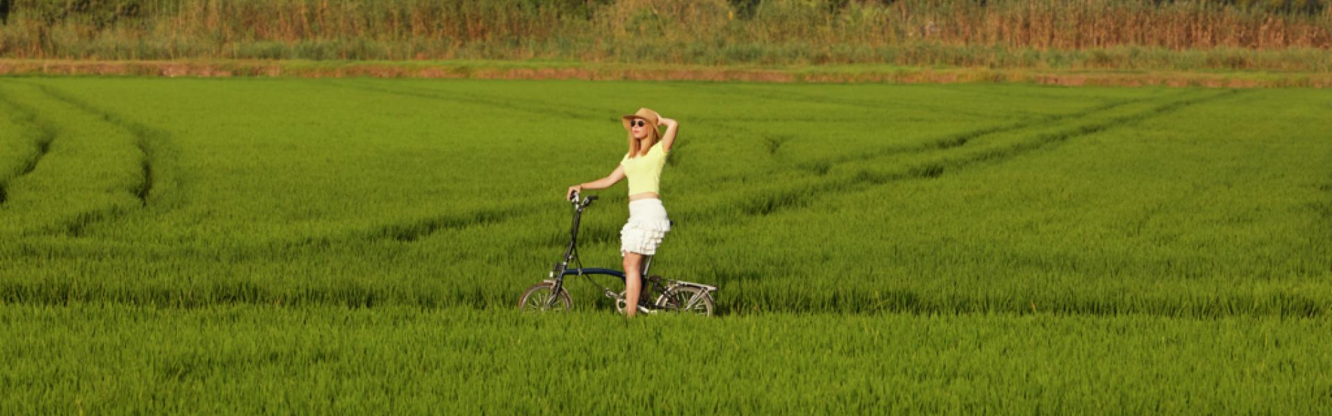 En bici por arrozales